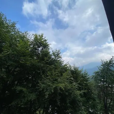 Sulle Piste Da Sci *