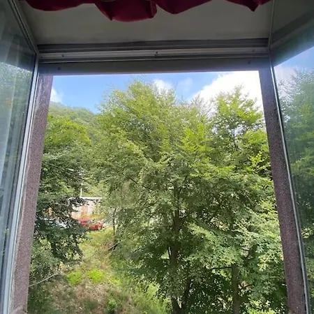 Sulle Piste Da Sci Artesina